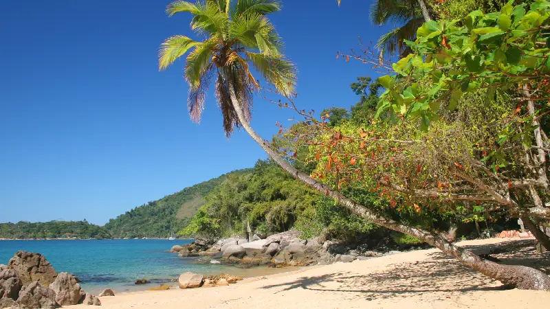 Férias de Julho em Paraty RJ Explore a Cidade com os Passeios da Estrela Tours