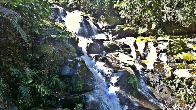 As maravilhas do litoral Passeio às Cachoeiras de Paraty